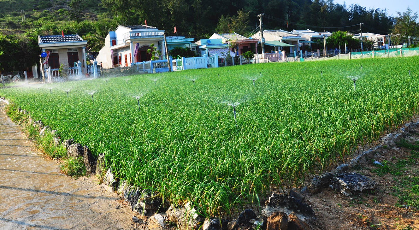 tram tich nui lua tao nen ruong bac thang trong toi 'doc nhat vo nhi' o viet nam - 8