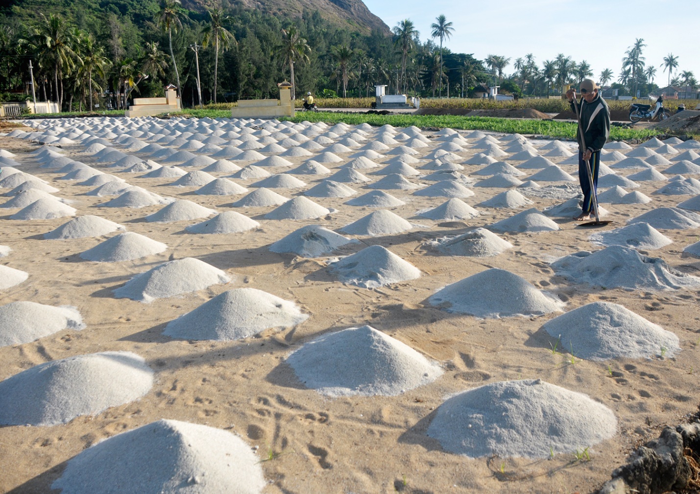tram tich nui lua tao nen ruong bac thang trong toi 'doc nhat vo nhi' o viet nam - 6