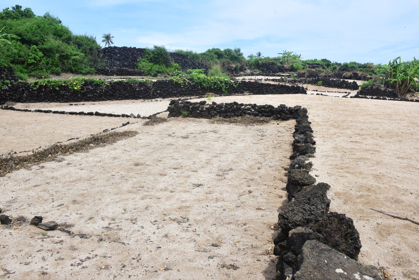 tram tich nui lua tao nen ruong bac thang trong toi 'doc nhat vo nhi' o viet nam - 19