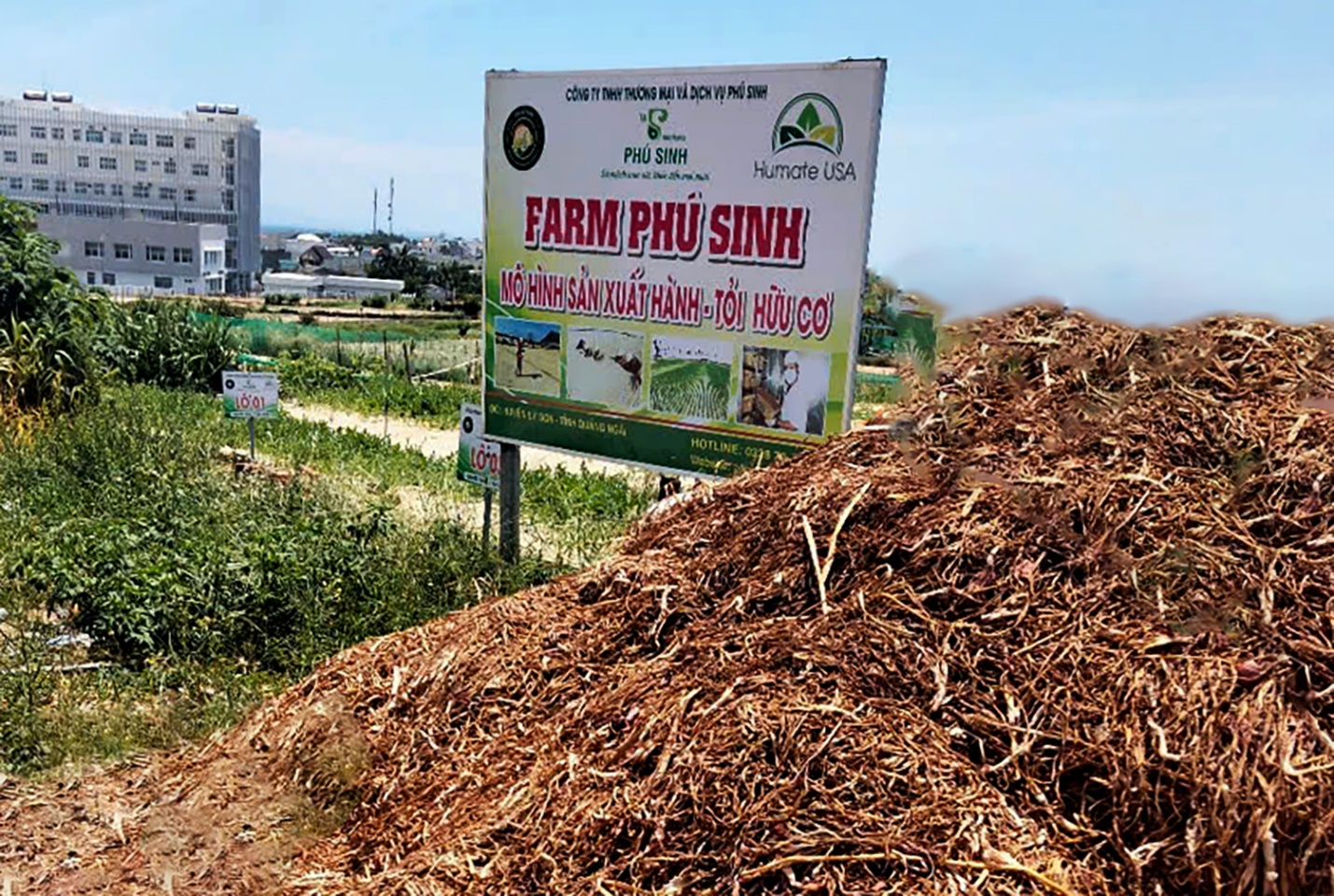 tram tich nui lua tao nen ruong bac thang trong toi 'doc nhat vo nhi' o viet nam - 13
