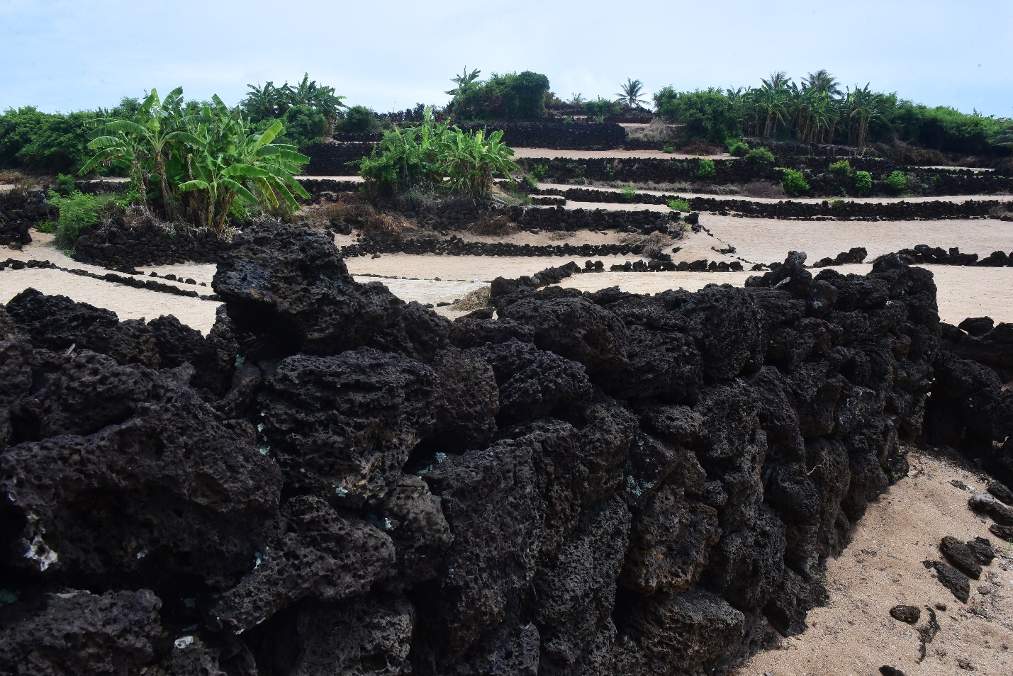 tram tich nui lua tao nen ruong bac thang trong toi 'doc nhat vo nhi' o viet nam - 18