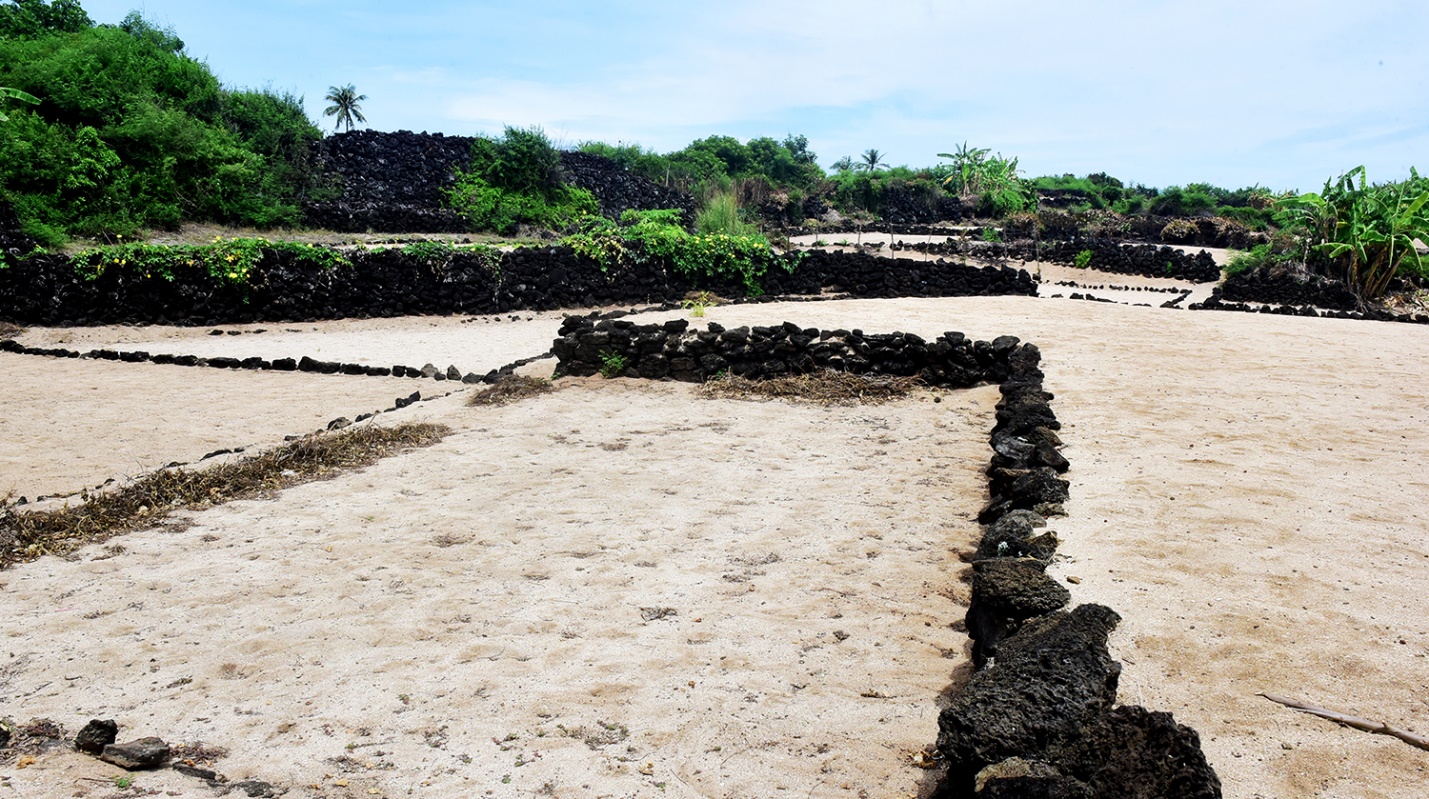 phat trien san pham ocop toi ly son gan voi cau chuyen ‘nong am dao nui lua’ - 4