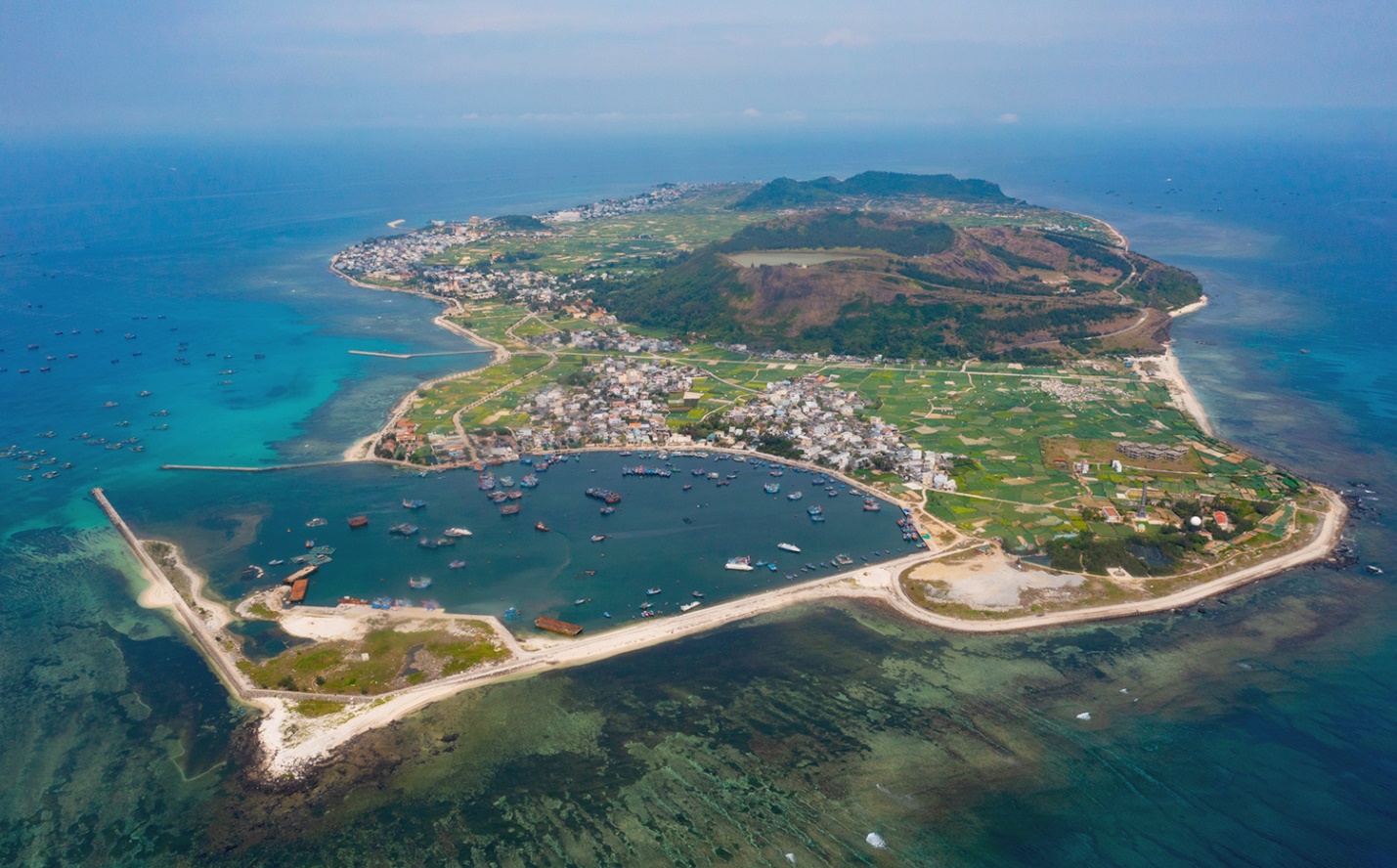 phat trien san pham ocop toi ly son gan voi cau chuyen ‘nong am dao nui lua’ - 1