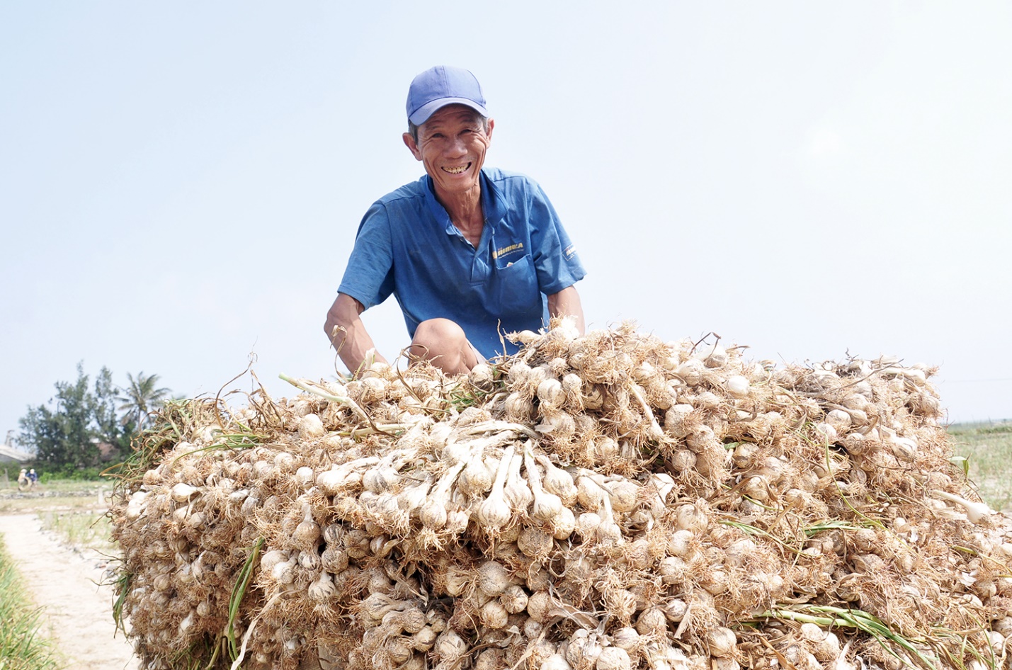phat trien san pham ocop toi ly son gan voi cau chuyen ‘nong am dao nui lua’ - 6
