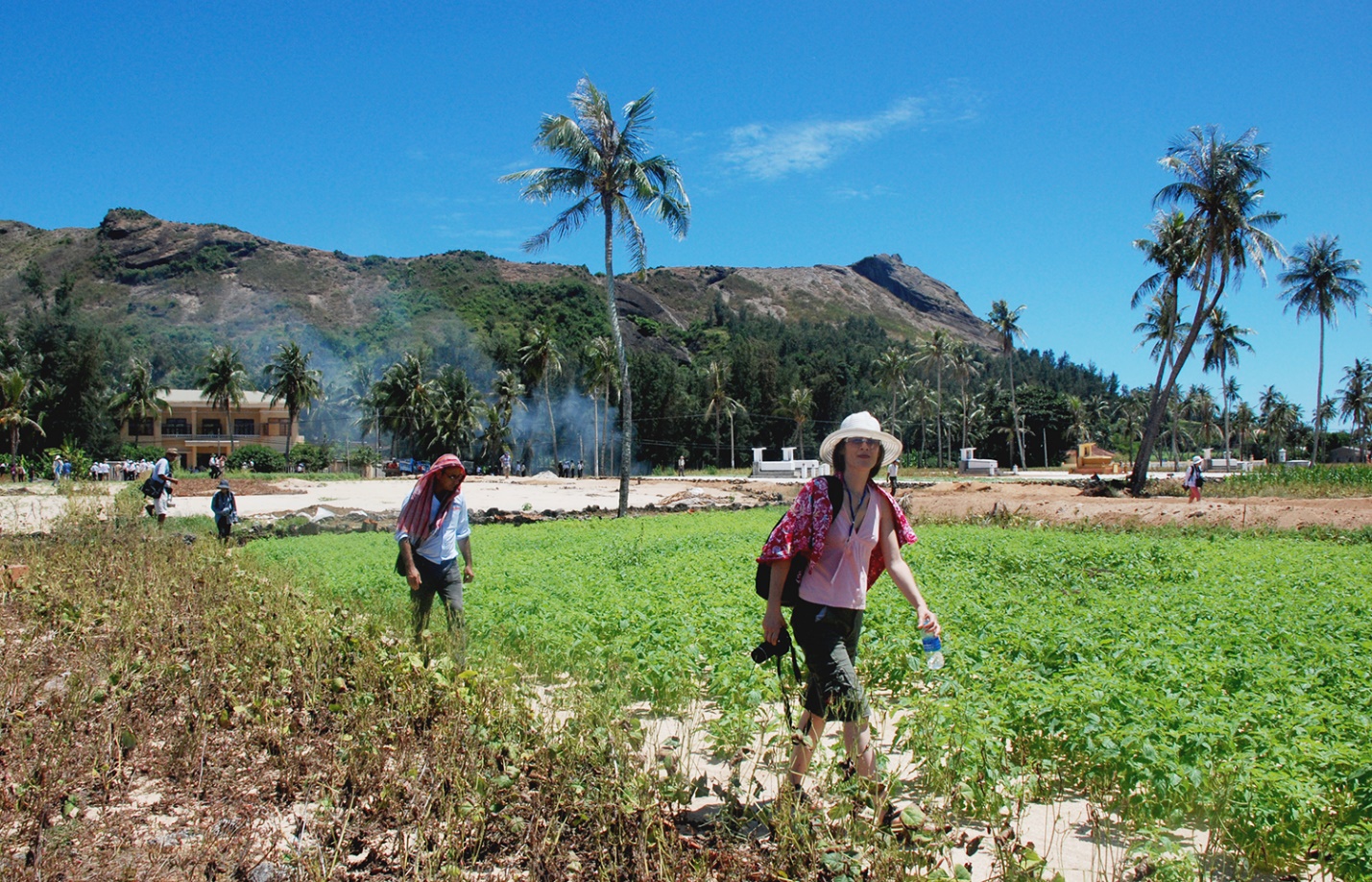 phat trien san pham ocop toi ly son gan voi cau chuyen ‘nong am dao nui lua’ - 11