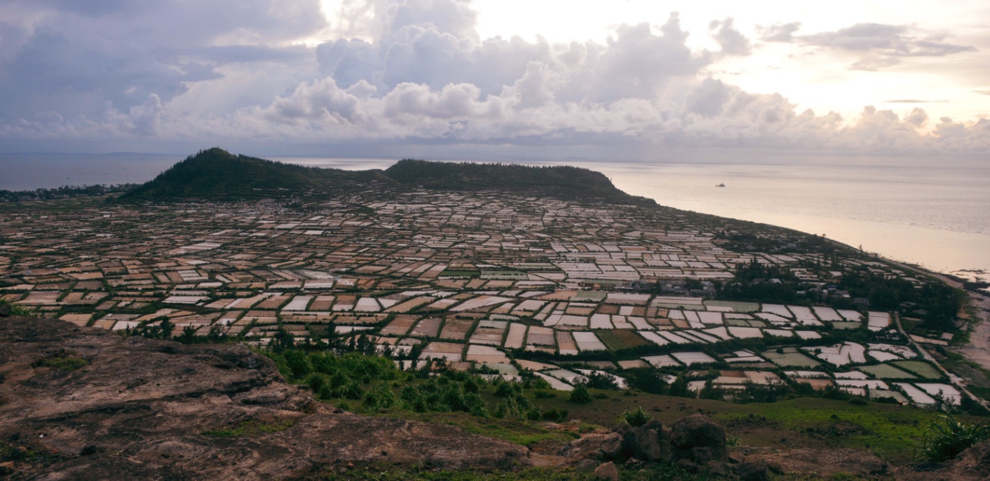 phat trien san pham ocop toi ly son gan voi cau chuyen ‘nong am dao nui lua’ - 9