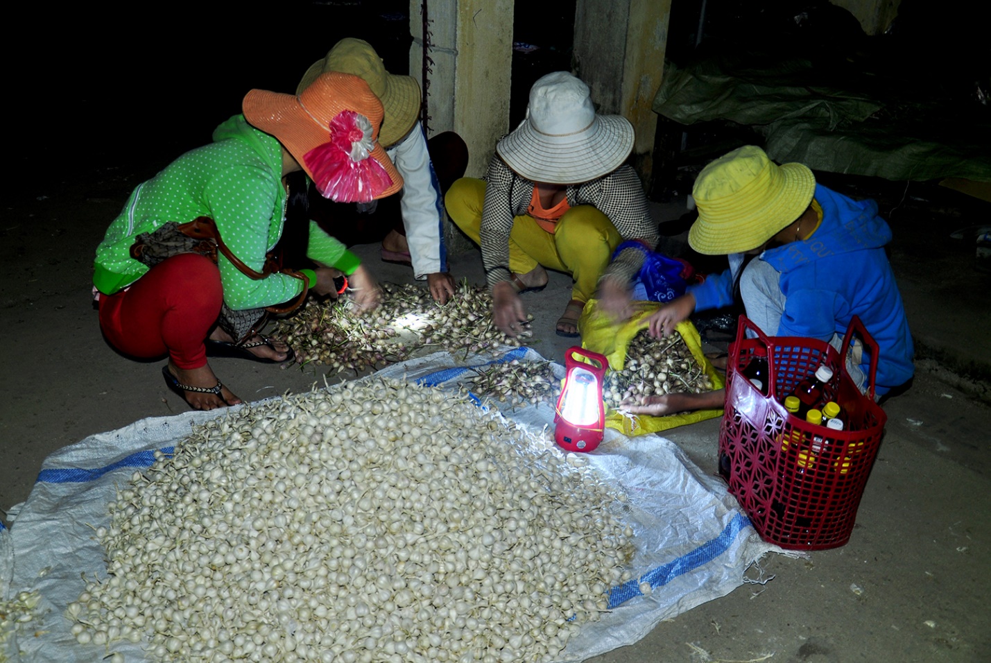 phat trien san pham ocop toi ly son gan voi cau chuyen ‘nong am dao nui lua’ - 15