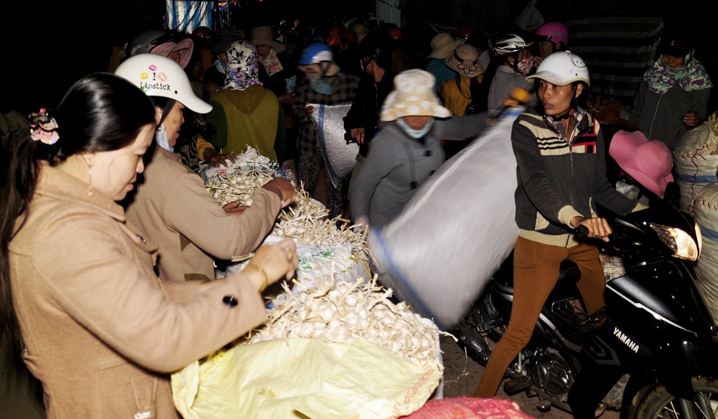 phat trien san pham ocop toi ly son gan voi cau chuyen ‘nong am dao nui lua’ - 17
