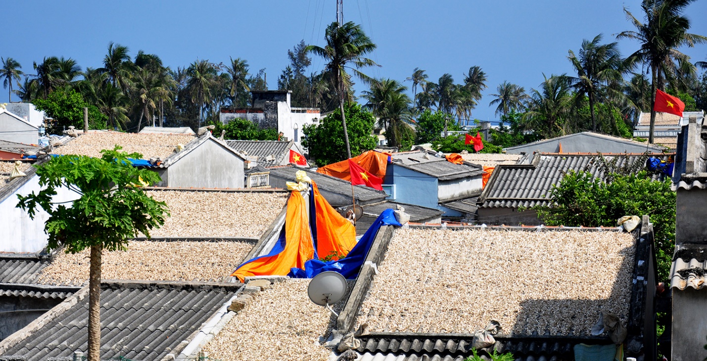 phat trien san pham ocop toi ly son gan voi cau chuyen ‘nong am dao nui lua’ - 8