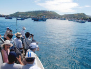 Phát triển sản phẩm OCOP tỏi Lý Sơn gắn với câu chuyện ‘Nồng ấm đảo núi lửa’