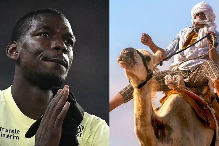 Tin mới nhất bóng đá tối 10/12: Pogba đầu tư vào đội đua lạc đà - 1