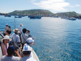  - Phát triển sản phẩm OCOP tỏi Lý Sơn gắn với câu chuyện ‘Nồng ấm đảo núi lửa’