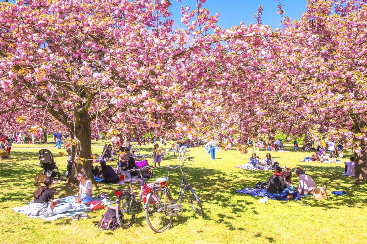 Du lịch rộn ràng bước vào Tết 2026 - 6