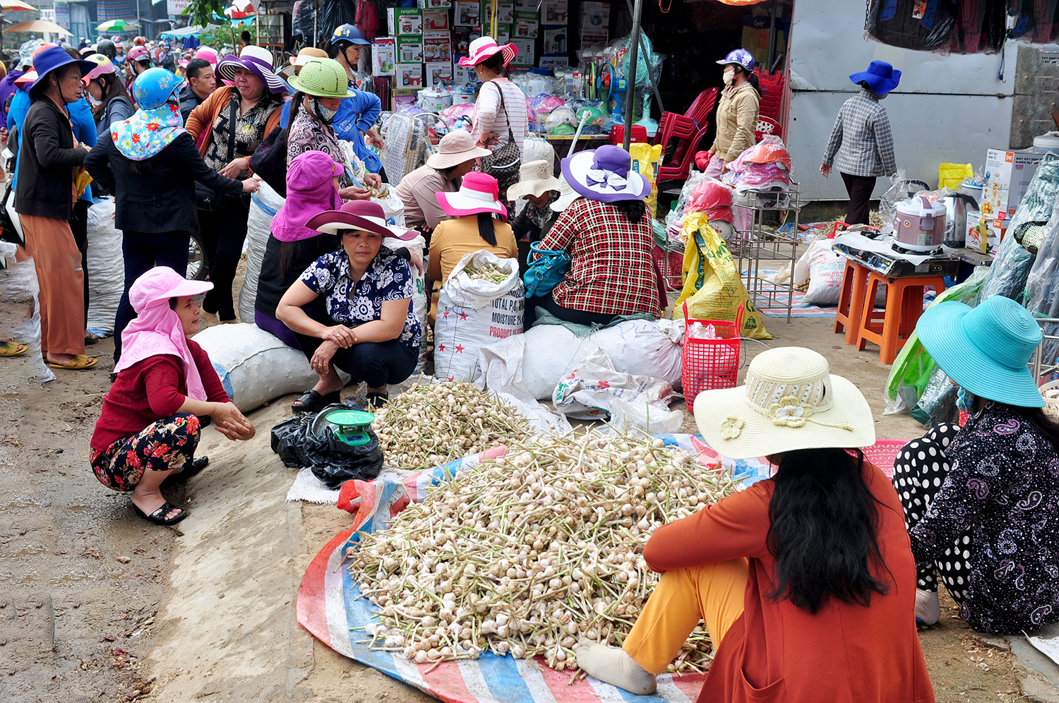 khat vong da dang hoa, nang tam gia tri san pham toi ly son - 14