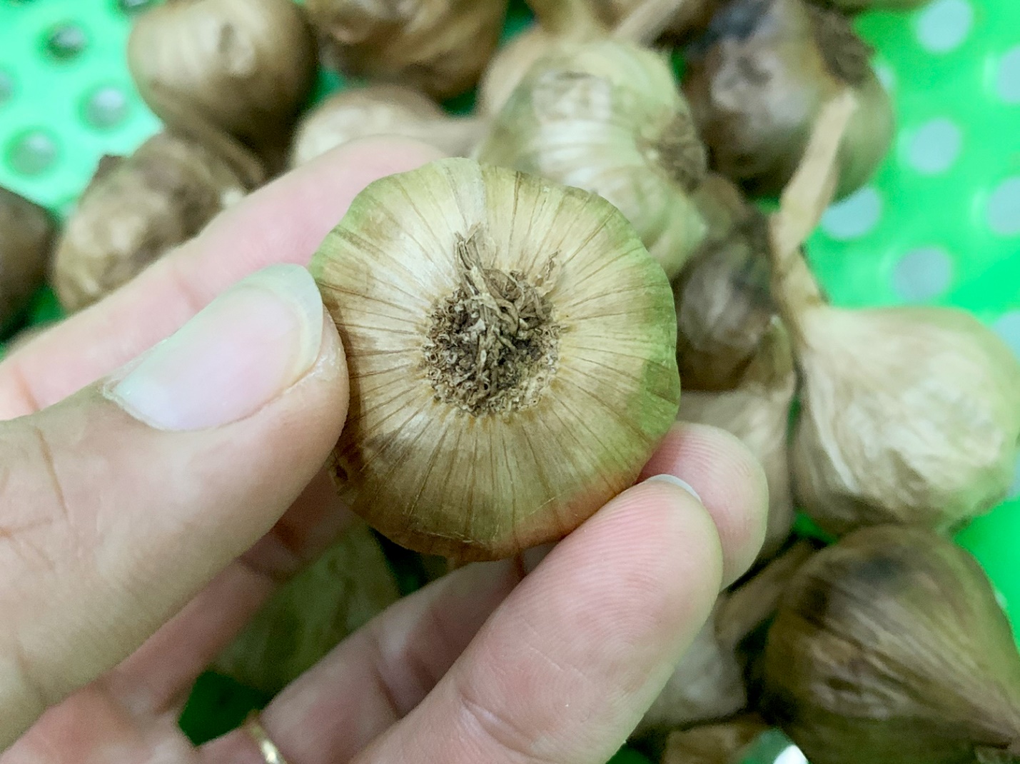 khat vong da dang hoa, nang tam gia tri san pham toi ly son - 7