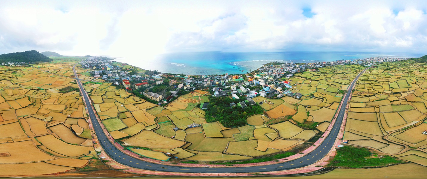 khat vong da dang hoa, nang tam gia tri san pham toi ly son - 1