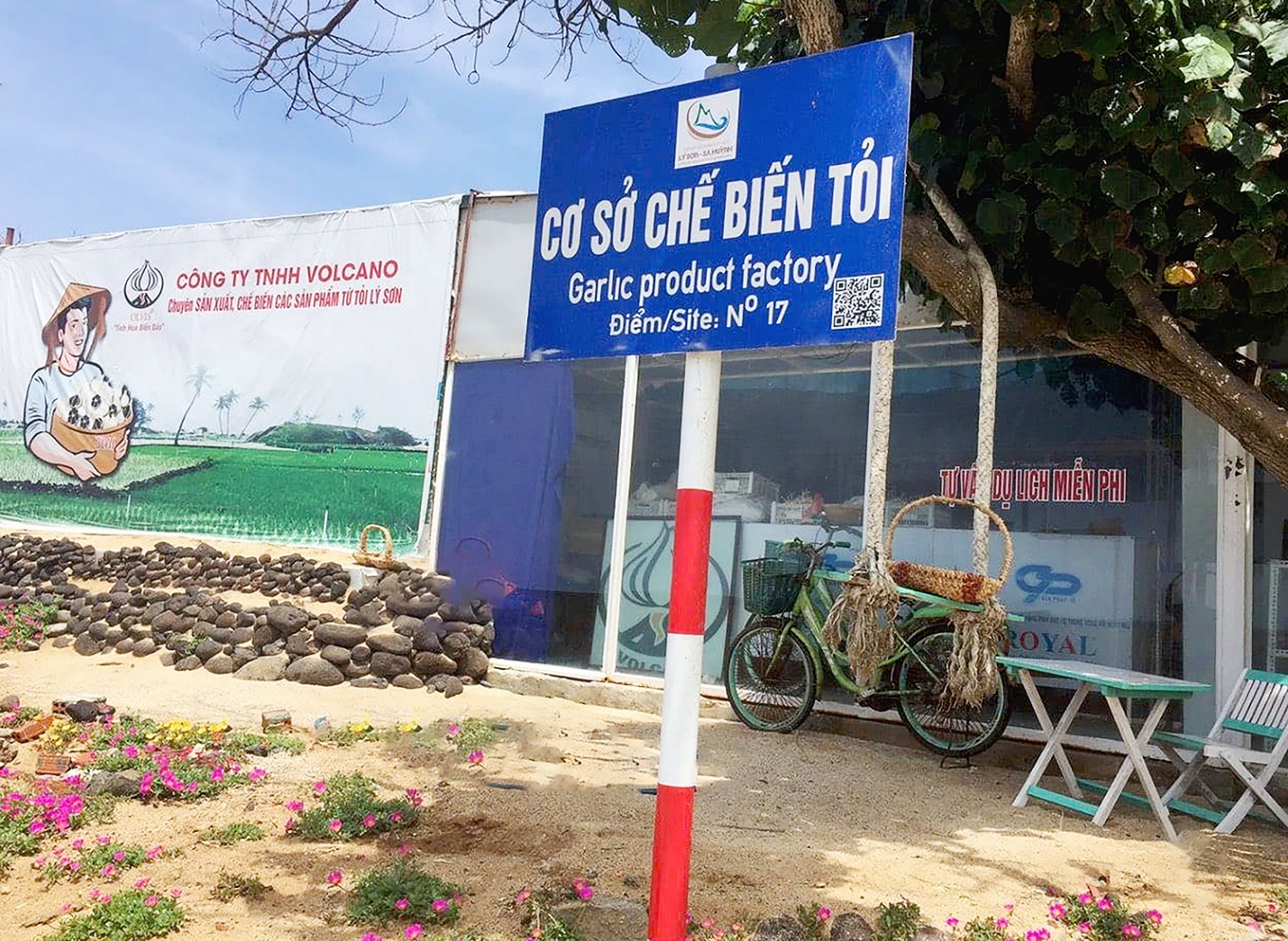 khat vong da dang hoa, nang tam gia tri san pham toi ly son - 13