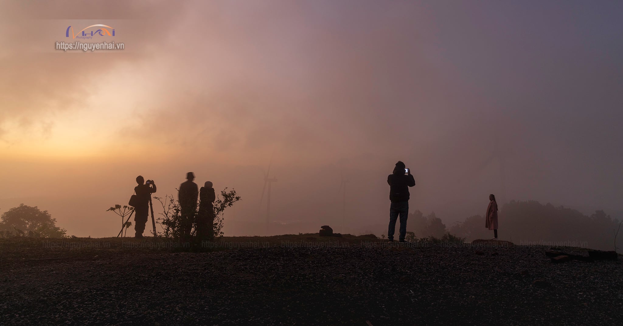 Về Quảng Trị, khám phá rừng phong hương tuyệt mỹ giữa đại ngàn - 9