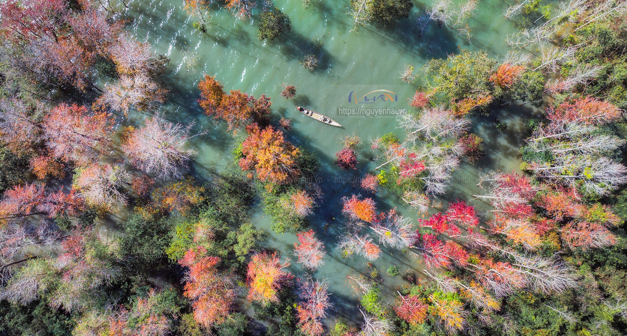 Về Quảng Trị, khám phá rừng phong hương tuyệt mỹ giữa đại ngàn - 11