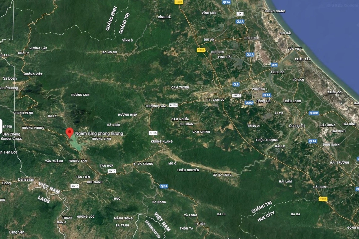 Về Quảng Trị, khám phá rừng phong hương tuyệt mỹ giữa đại ngàn - 13