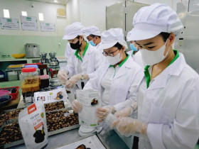  - Khát vọng đa dạng hóa, nâng tầm giá trị sản phẩm tỏi Lý Sơn