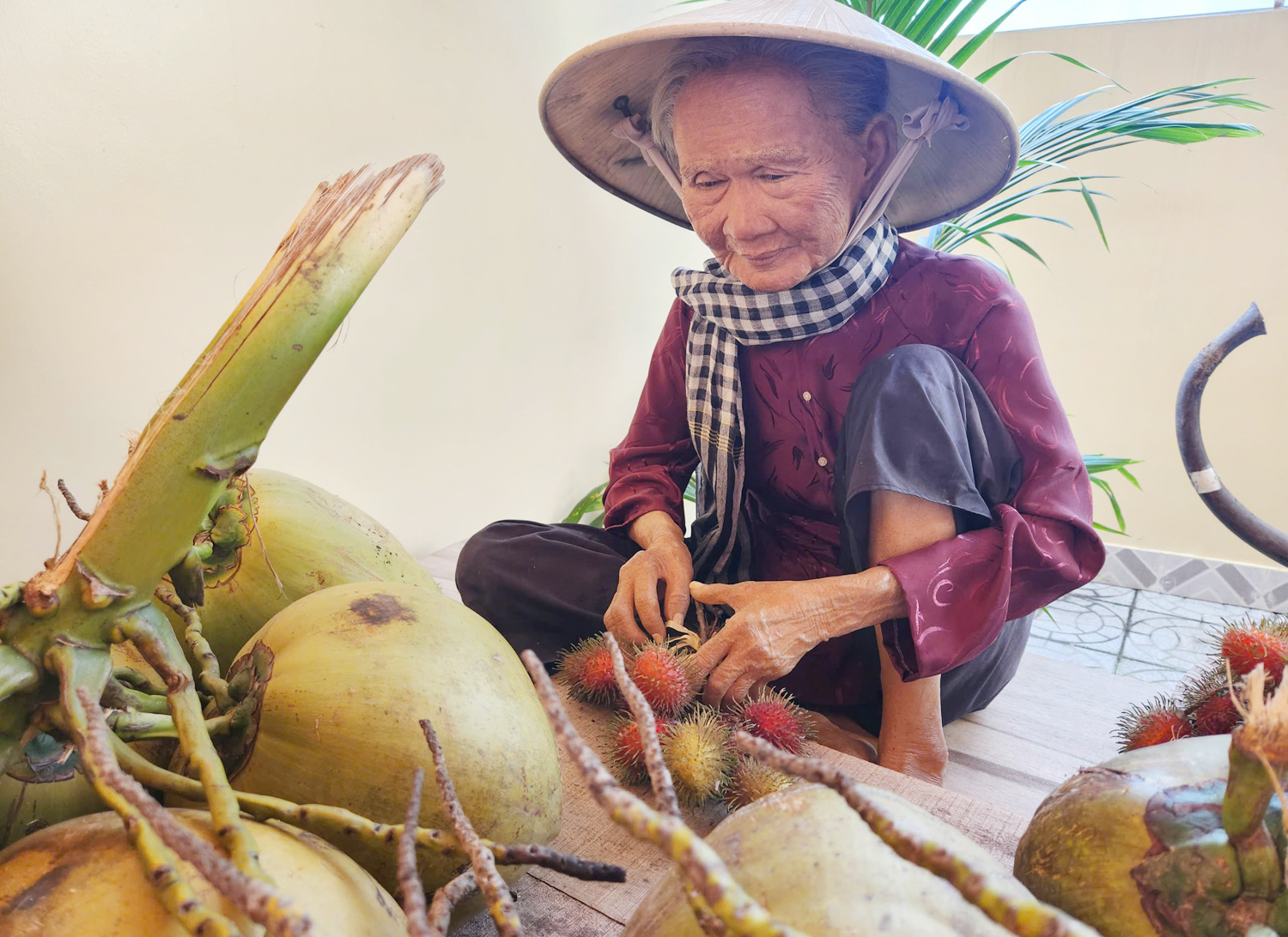 Cần Thơ tổ chức đoàn famtrip Bảo tàng Dừa sáp Trà Vinh - 4