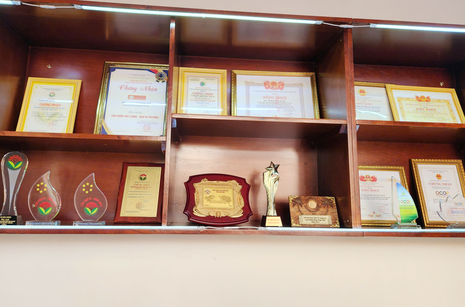 Cần Thơ tổ chức đoàn famtrip Bảo tàng Dừa sáp Trà Vinh - 15