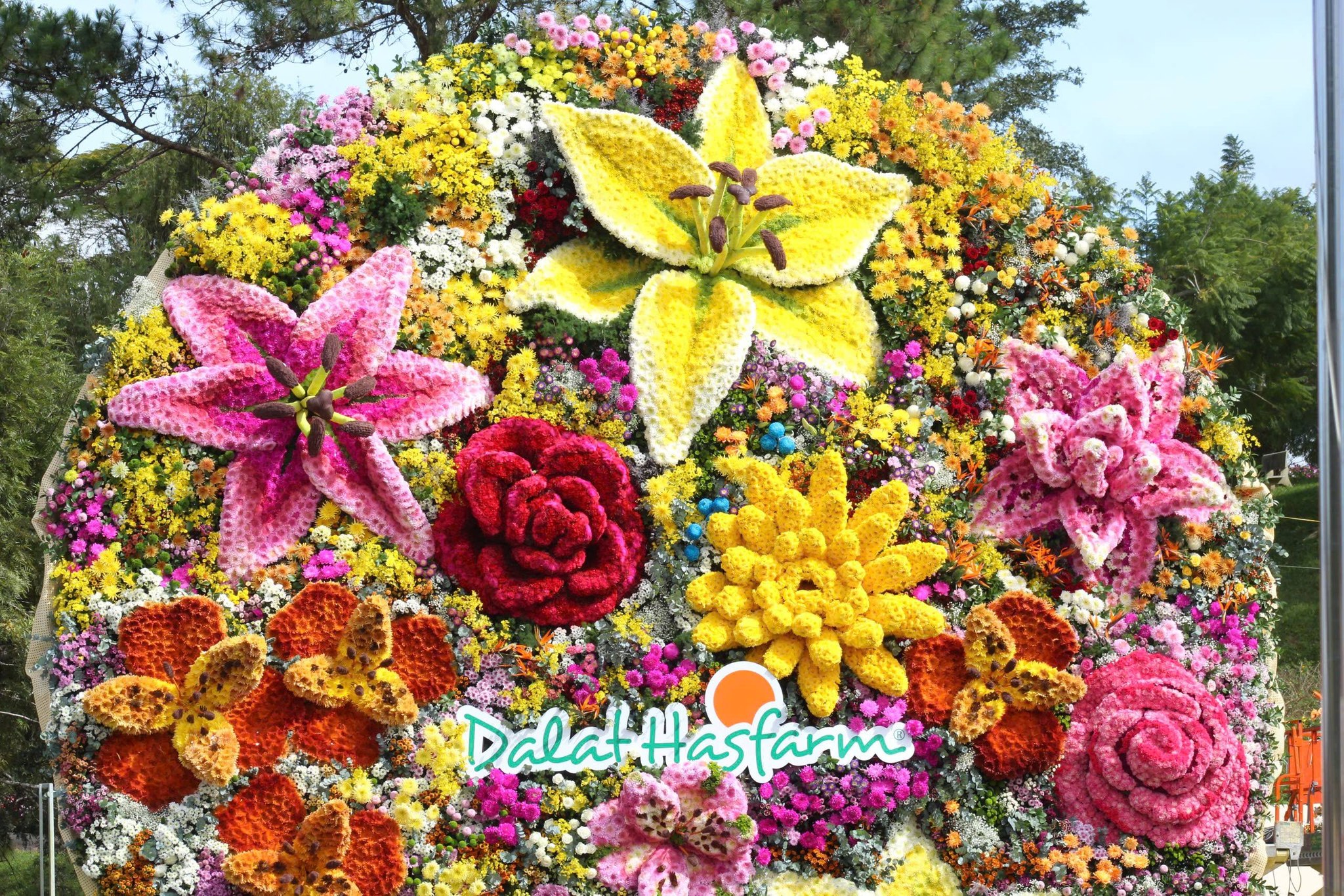 Check in 'cạn pin' với bó hoa ở Đà Lạt nặng 10 tấn, to nhất Việt Nam - 5