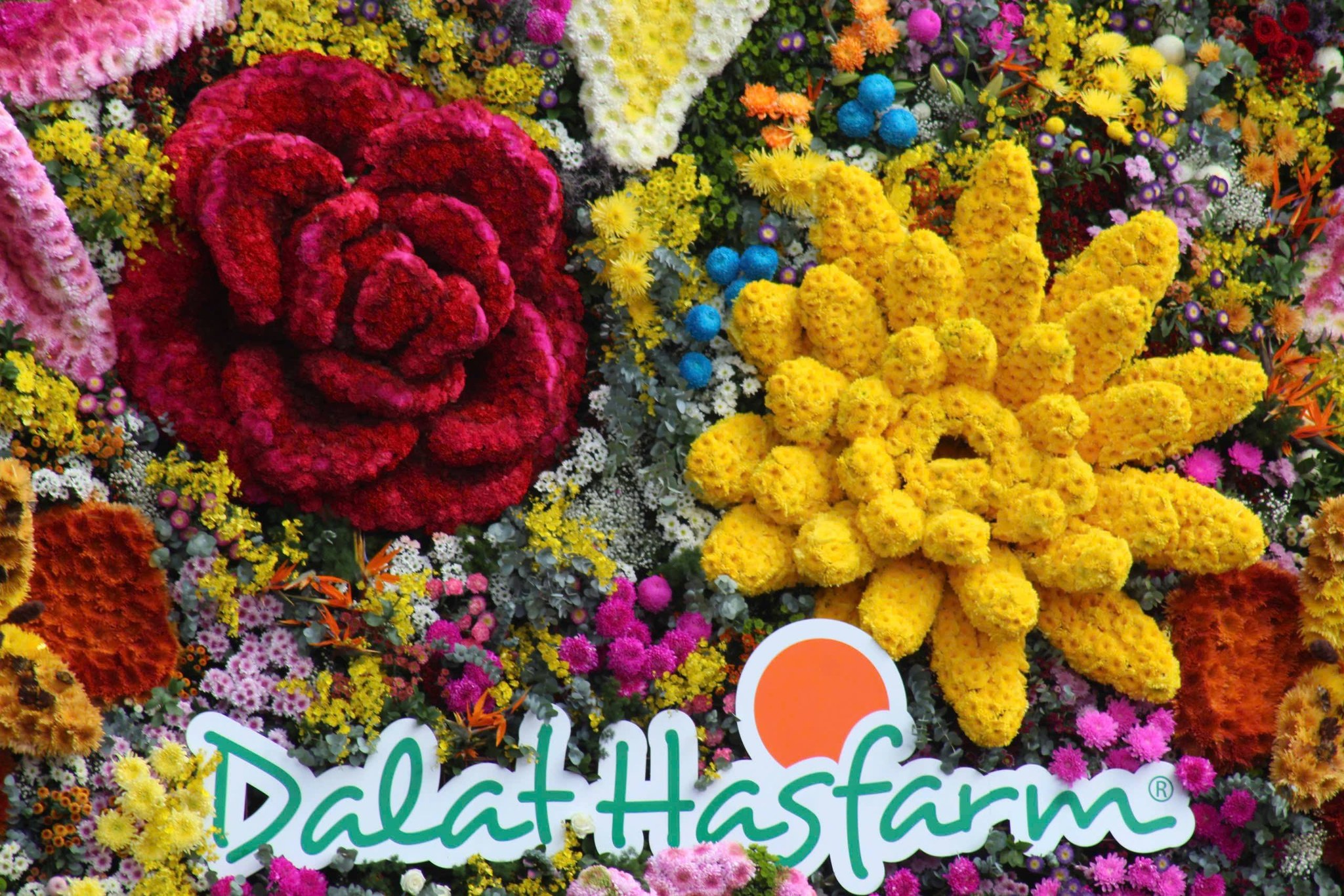 Check in 'cạn pin' với bó hoa ở Đà Lạt nặng 10 tấn, to nhất Việt Nam - 6