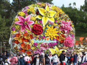 Sự kiện đặc sắc - Check in 'cạn pin' với bó hoa ở Đà Lạt nặng 10 tấn, to nhất Việt Nam