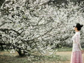  - Du lịch nông nghiệp Sơn La giúp tăng giá trị sản vật địa phương