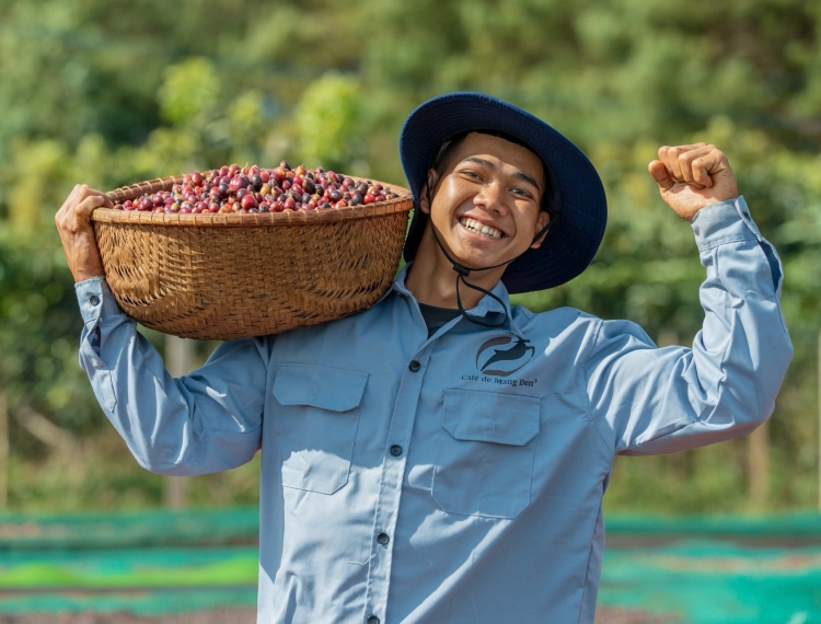 Giấc mơ 'cất cánh' cà phê xứ lạnh