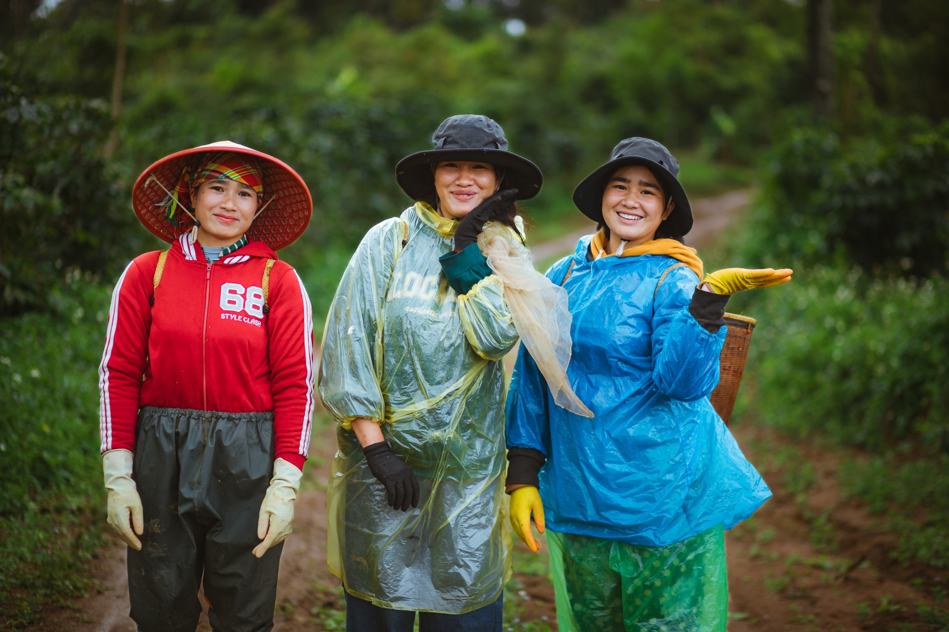 Từ vườn cà phê đầu tiên đến hạt cà phê đặc sản: Một hành trình của 'công' và 'nghệ' - 4