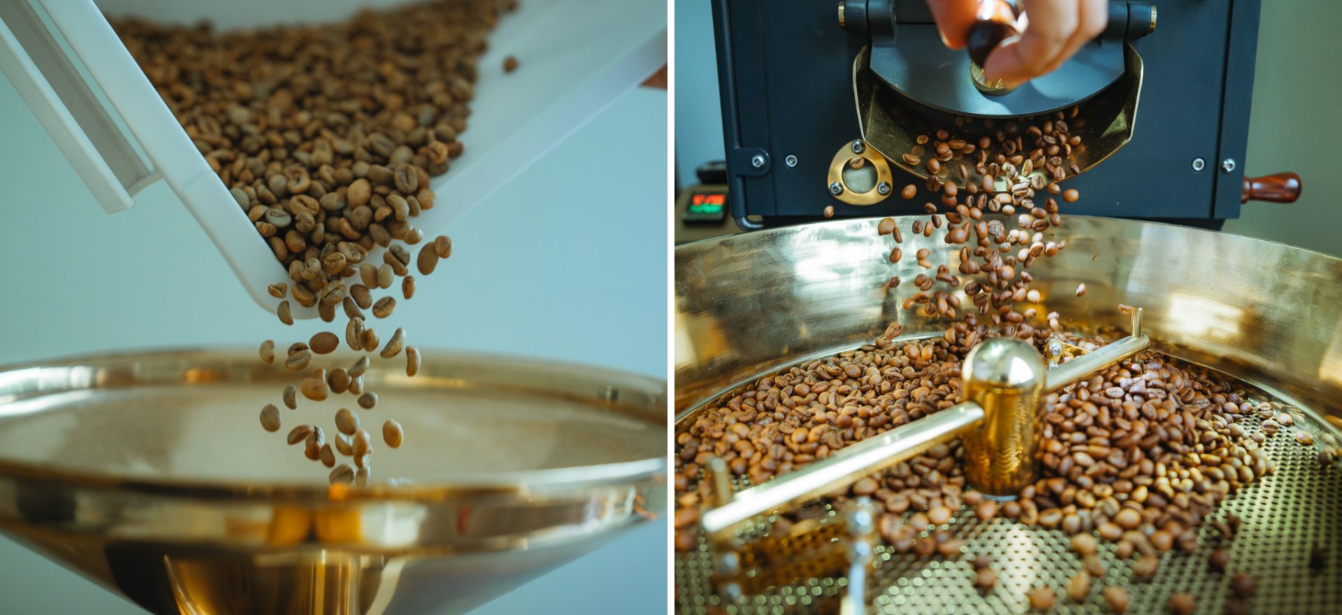 Từ vườn cà phê đầu tiên đến hạt cà phê đặc sản: Một hành trình của 'công' và 'nghệ' - 5