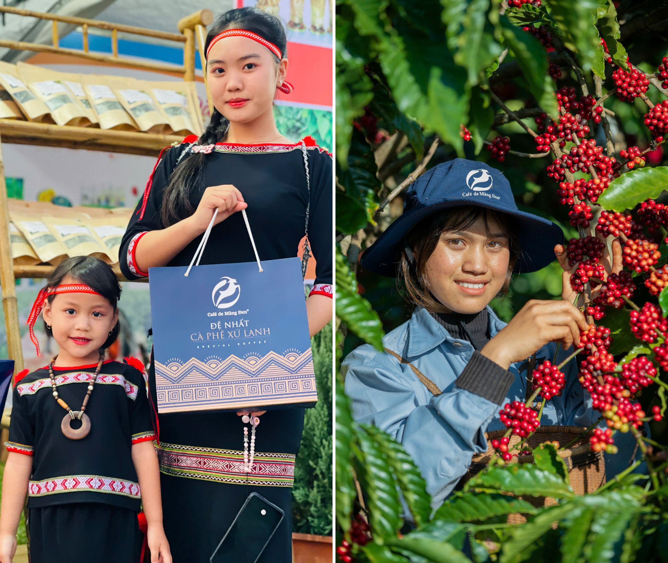 Giấc mơ 'cất cánh' cà phê xứ lạnh - 5