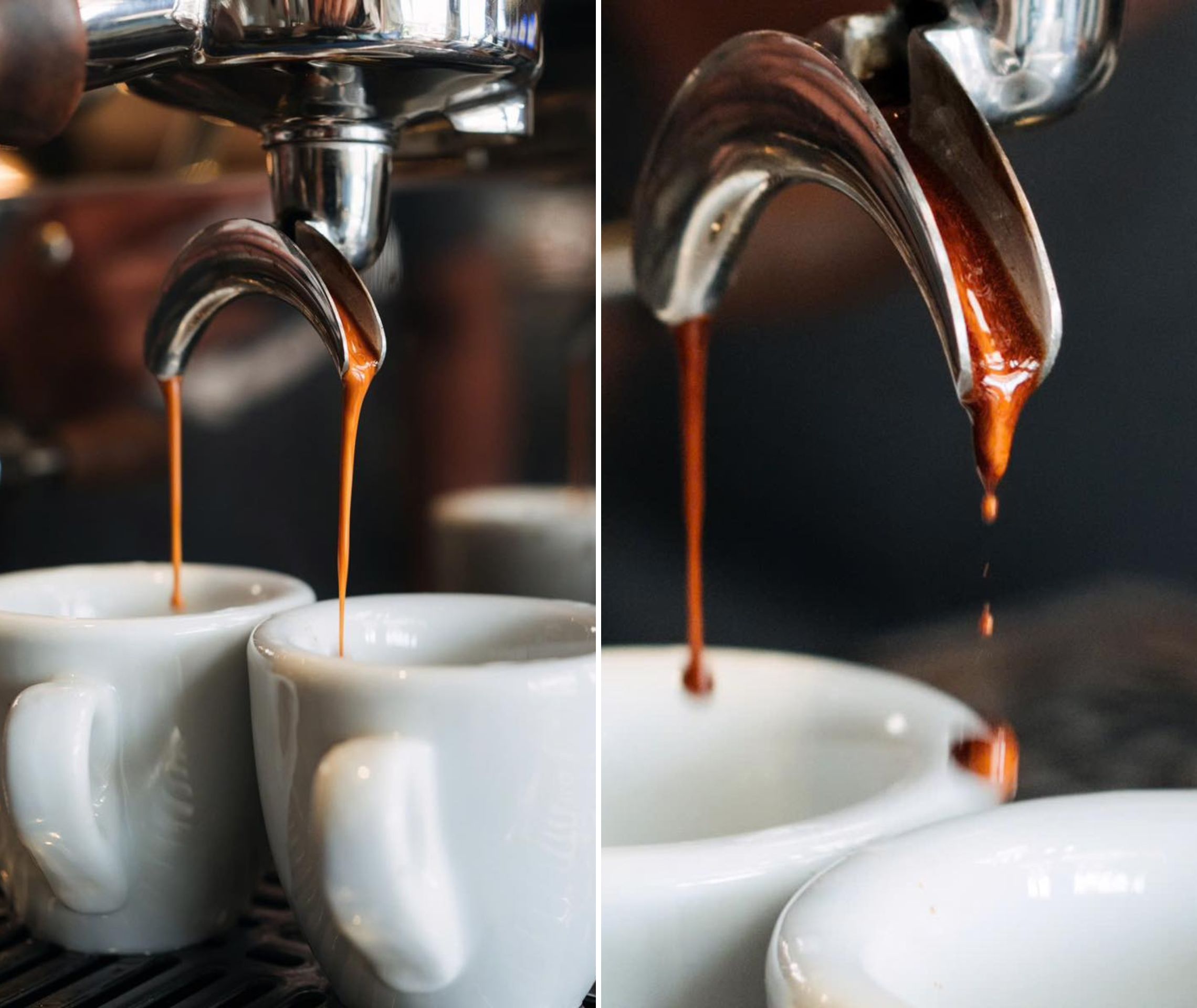 Giấc mơ 'cất cánh' cà phê xứ lạnh - 9