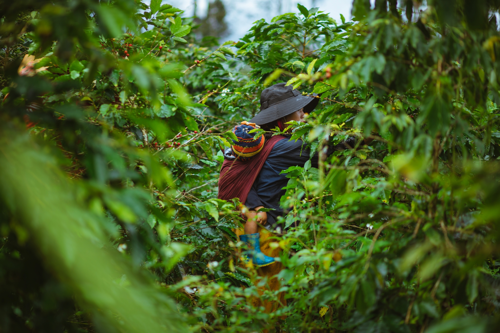 Khát vọng định danh bản sắc thương hiệu - 1