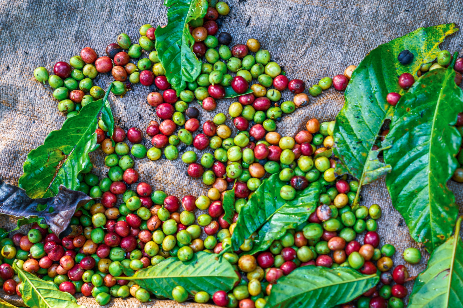 Khát vọng định danh bản sắc thương hiệu - 3