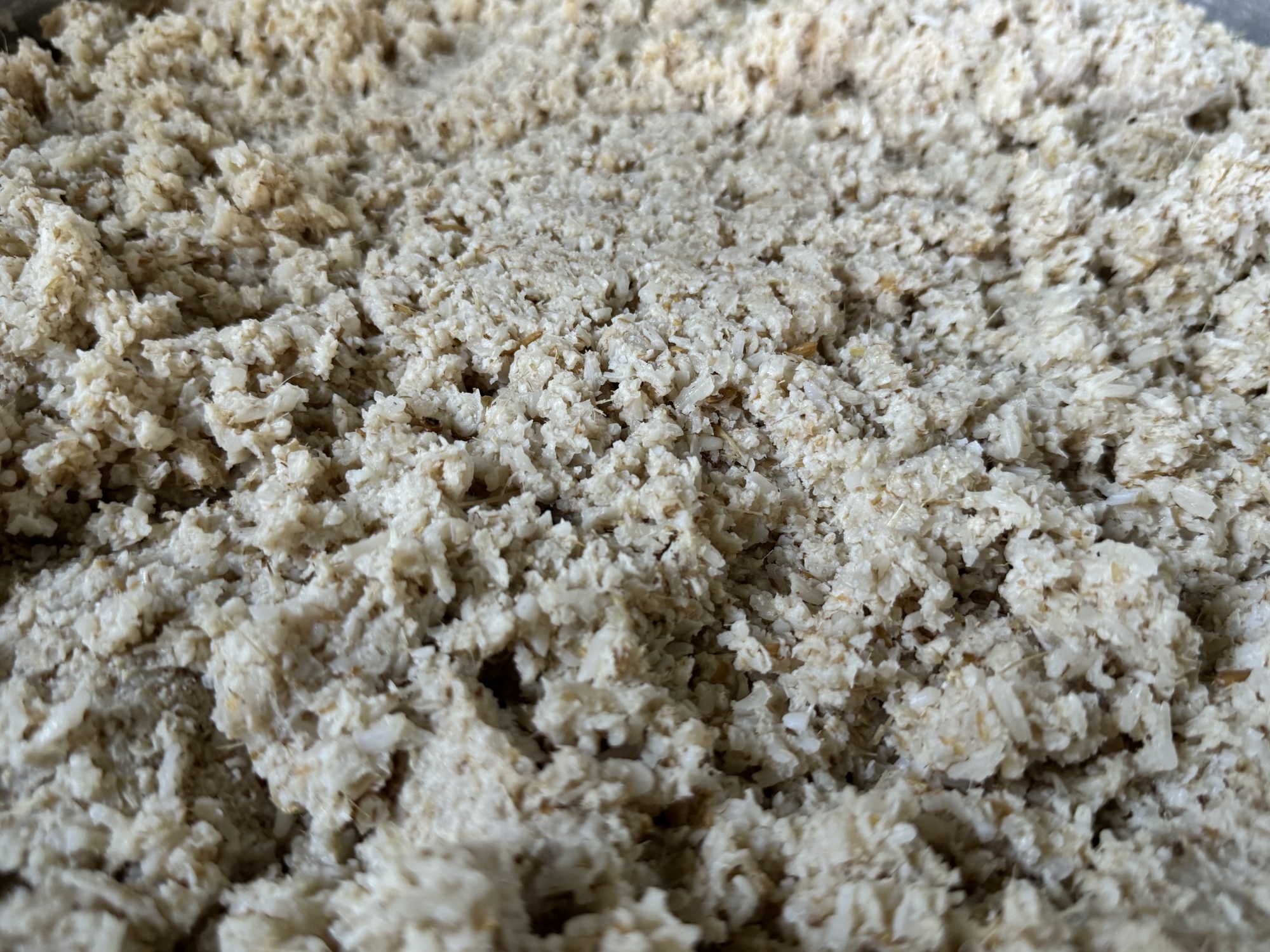 Mạch nha - Món quà từ đồng ruộng - 11