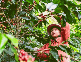  - Khát vọng định danh bản sắc thương hiệu