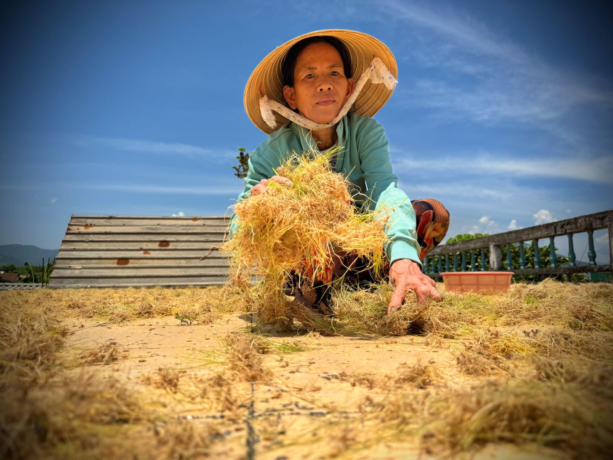 Quảng Ngãi - Vùng đất “ngọt mềm của đường” - 5