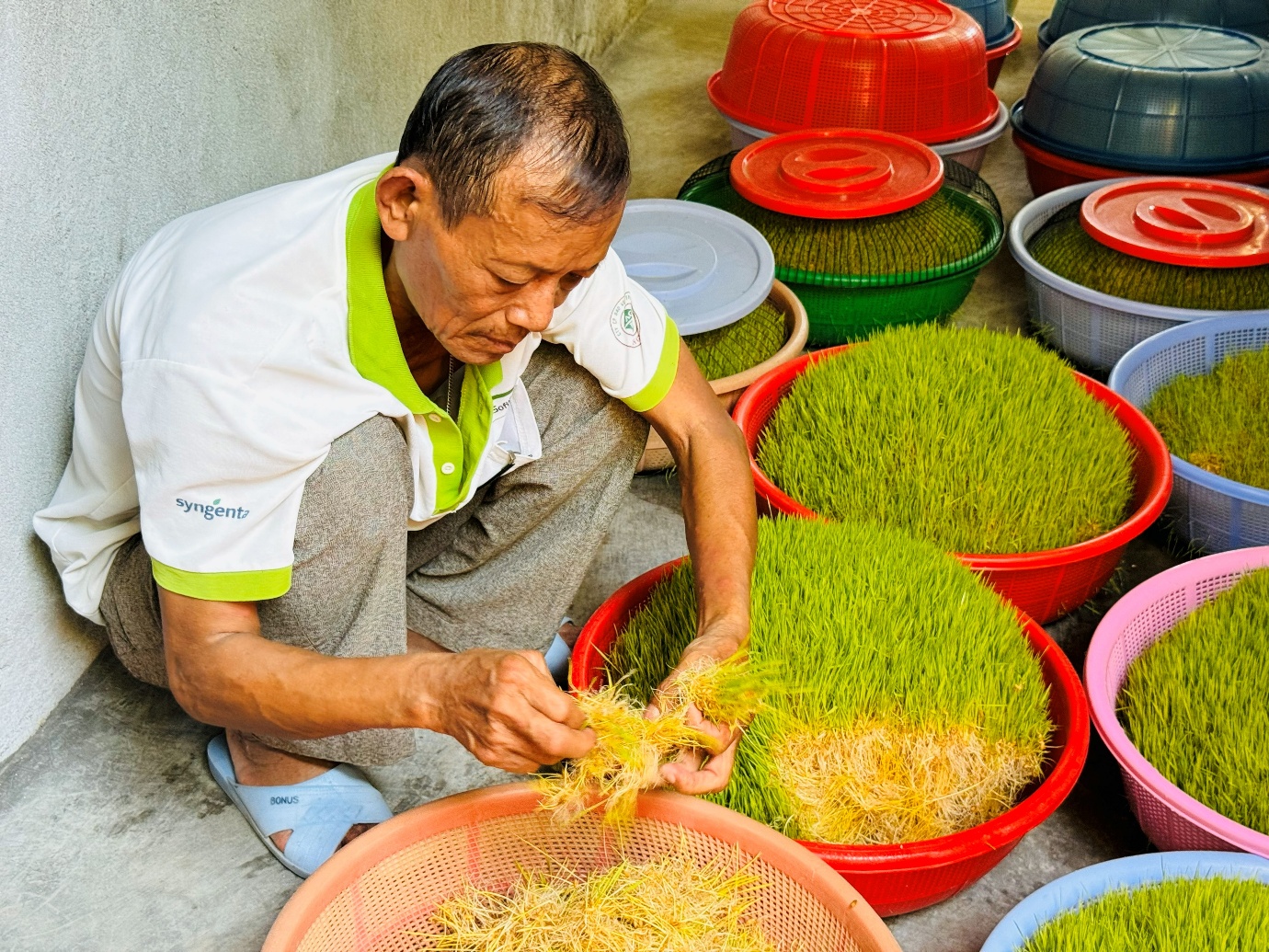 Người Quảng Ngãi và hai lần mang mạch nha đi xa - 1