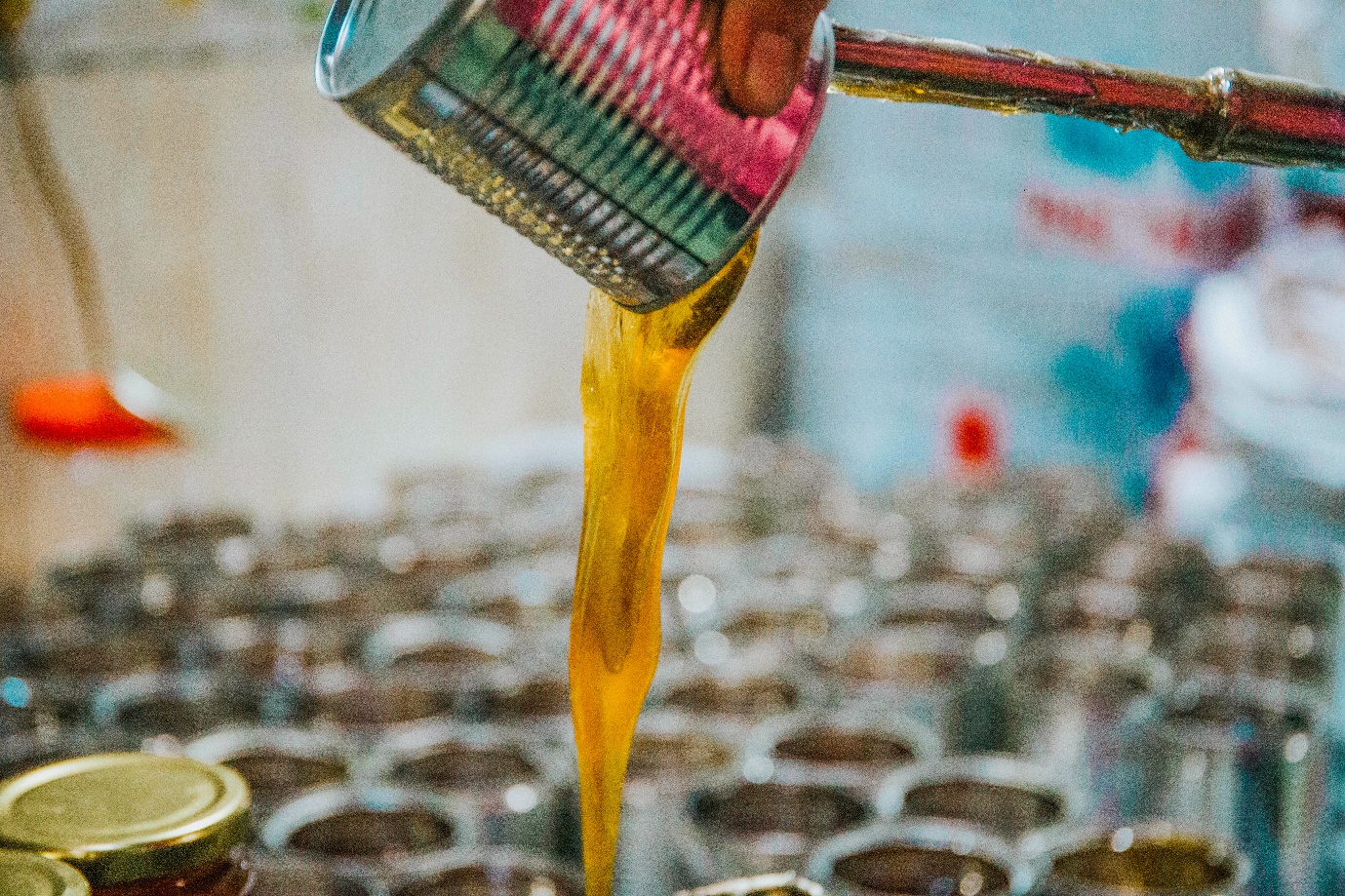 Mạch Nha - Món quà từ đồng ruộng - 11