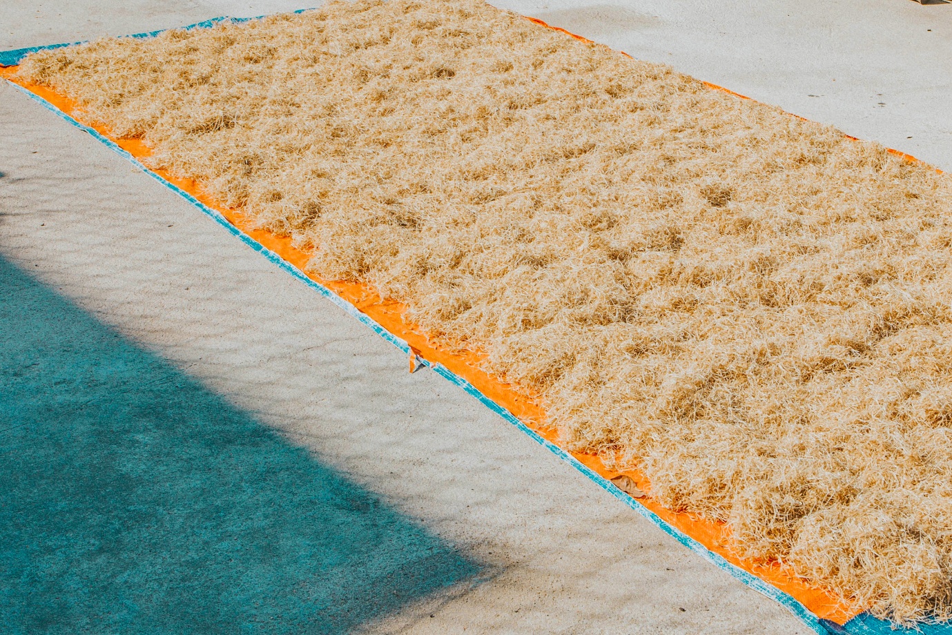 Mạch Nha - Món quà từ đồng ruộng - 9