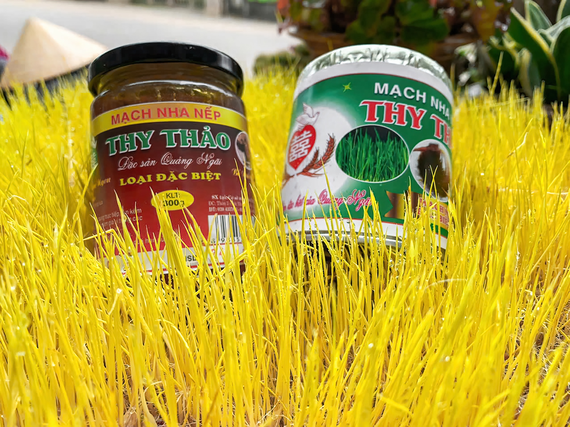 Người Quảng Ngãi và hai lần mang mạch nha đi xa - 4