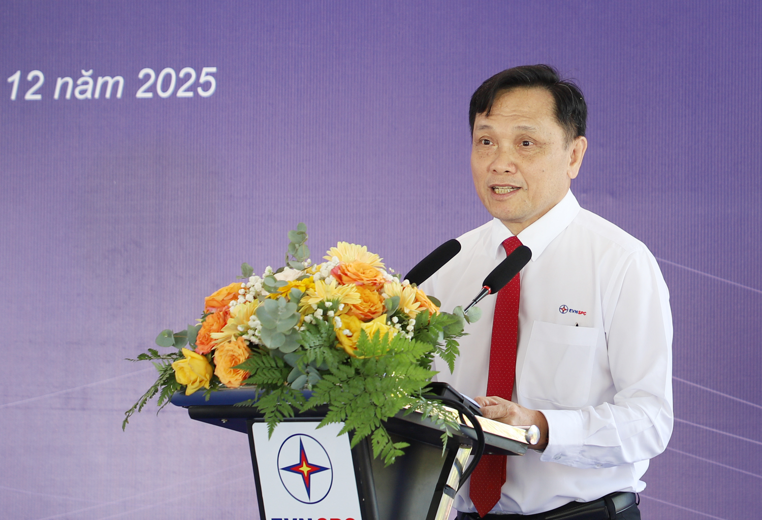 Xây trạm biến áp gần 900 tỷ đồng ở đặc khu vừa đón vị khách quốc tế thứ 20 triệu - 2