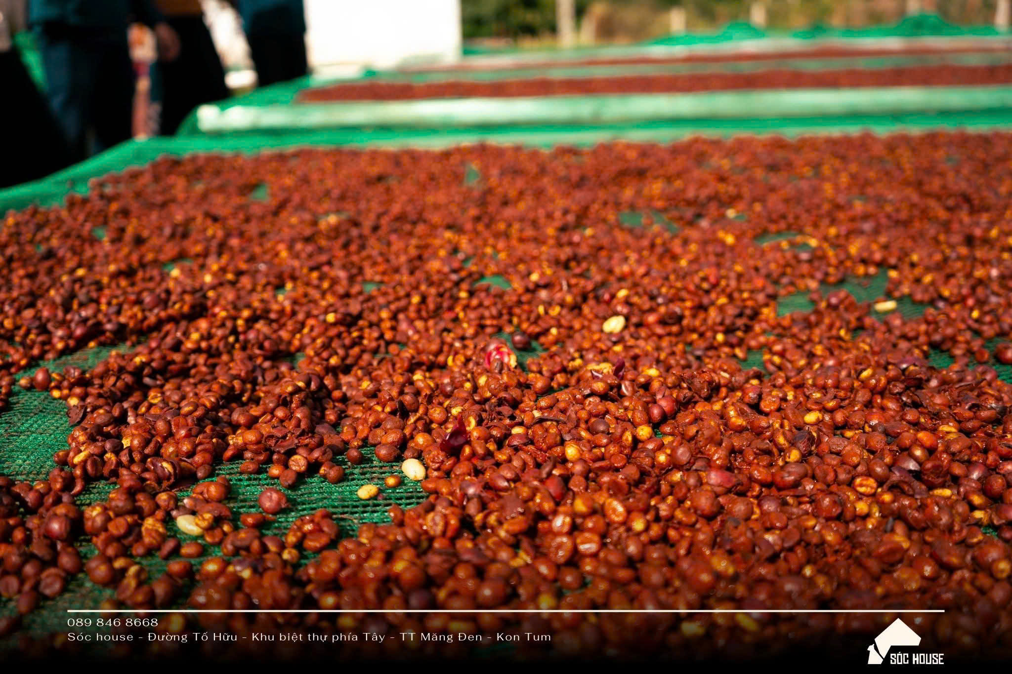 Đại sứ văn hóa mới của Măng Đen - 8