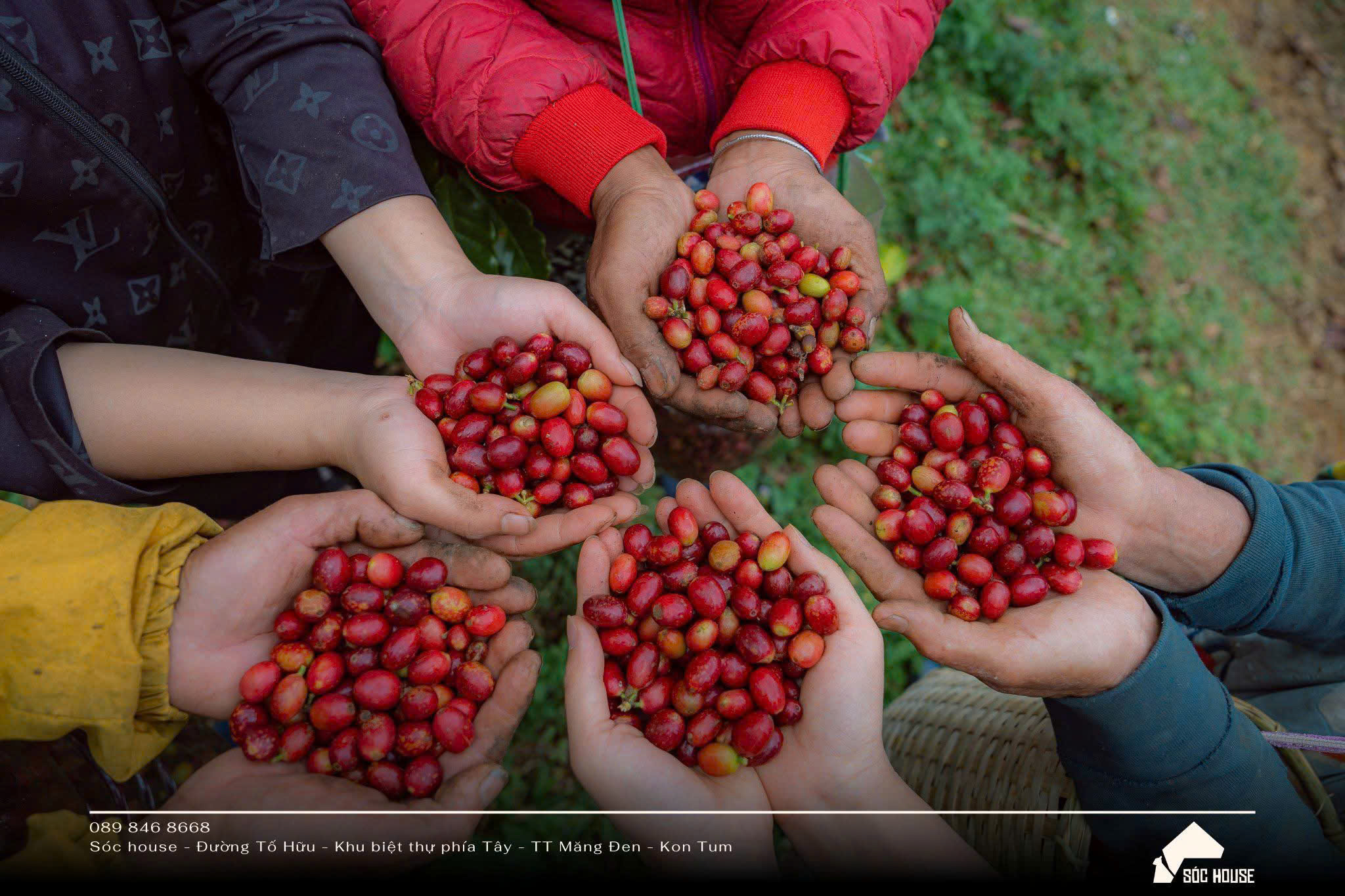 Đại sứ văn hóa mới của Măng Đen - 7