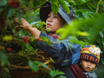 Chuyện hay - Viên ngọc xanh nơi vùng trời Tây Quảng Ngãi