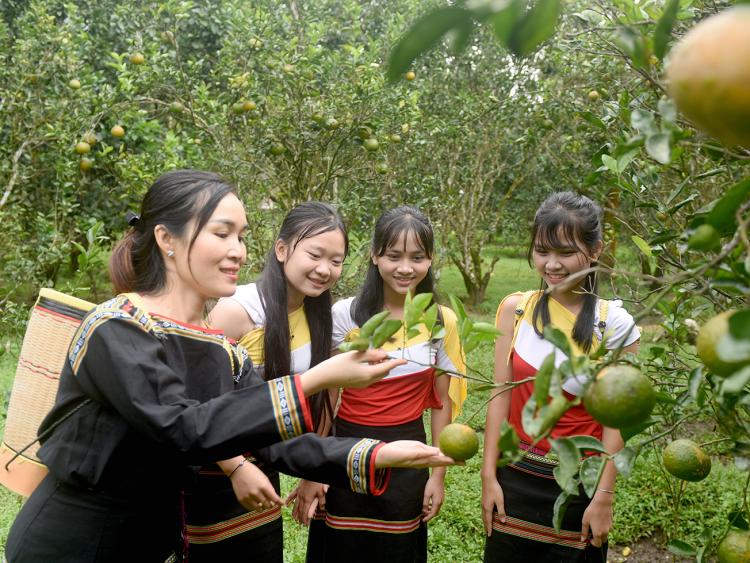 Sơn Tây Thượng năng động tìm hướng thoát nghèo bền vững cho người dân